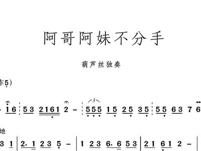 <em>阿哥阿妹</em>不分手<em>葫芦丝</em>独奏<em>葫芦丝</em>谱简谱