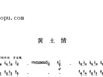 黄土情 民乐类 扬琴