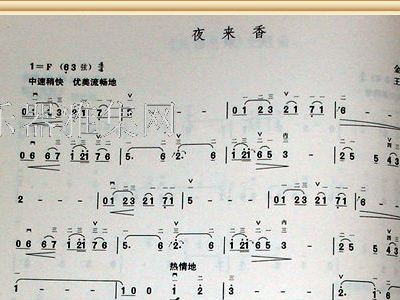 夜来香曲谱_夜来香曲谱简谱(2)