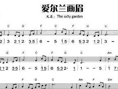 爱尔兰哨笛画眉简谱_爱尔兰哨笛简谱(3)