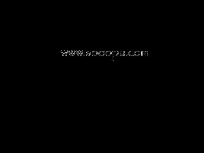 为爱痴狂简谱_为爱痴狂简谱歌谱(3)