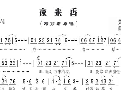 夜来香简谱_夜来香简谱邓丽君