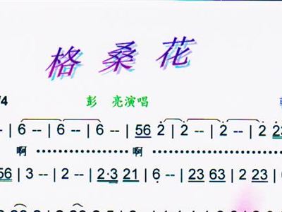 彩色花简谱_萱草花简谱(3)