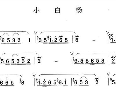 小白杨歌谱简谱_小白杨简谱(3)