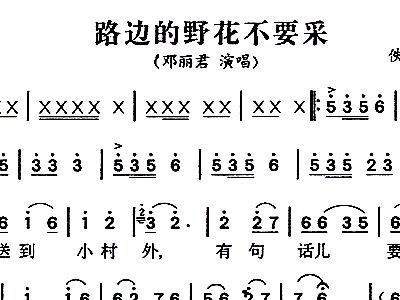 野花的简谱_路边的野花不要采简谱(2)
