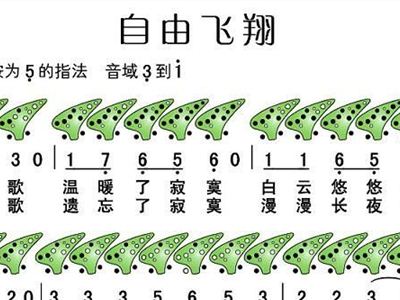 飞竹笛曲谱_竹笛曲谱(3)