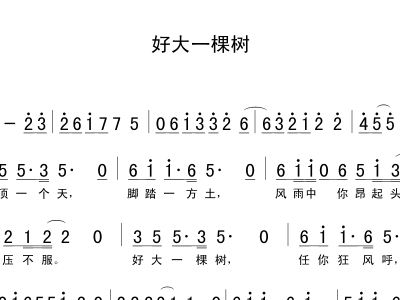 好大一棵树简谱_好大一棵树简谱歌谱