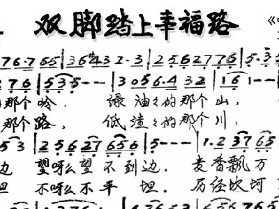 板胡曲谱双脚踏上幸福路_双脚踏上幸福路简谱