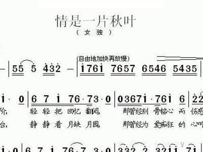 秋叶如花 歌谱 简谱