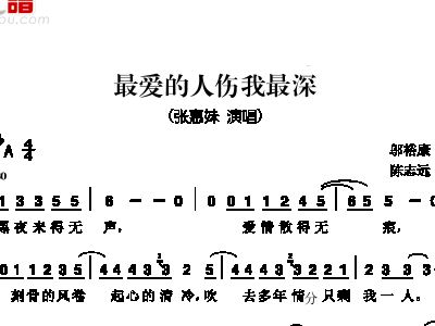 伤我最深的人简谱_伤我最深的人图片