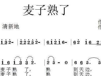 麦胡同简谱_北京胡同简谱(3)