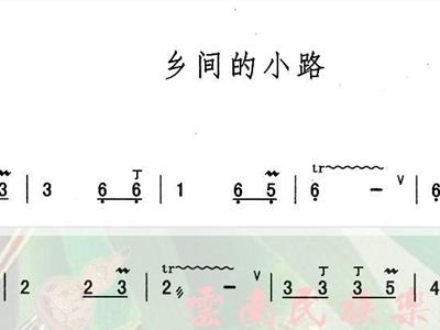 乡间的小路 葫芦丝谱 简谱