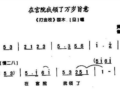 简谱的院子_农村院子(2)
