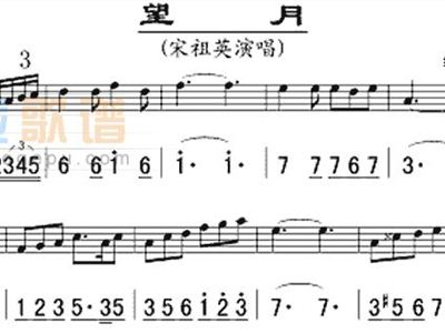 痴情冢简谱歌谱