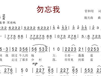 勿忘我简谱
