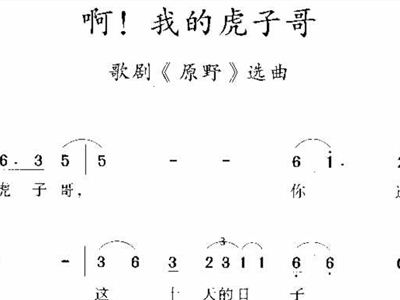 啊 我的虎子哥
