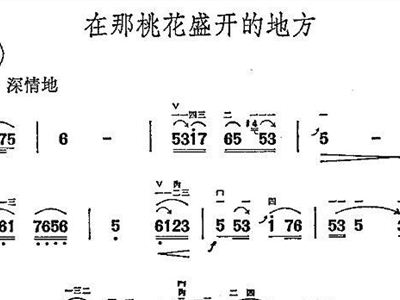 在哪桃花盛开的地方简谱_在那桃花盛开的地方蒋大为歌谱简谱