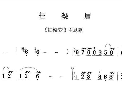 枉凝眉竹笛曲谱_枉凝眉曲谱