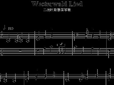 西部森林简谱_美丽的西部森林简谱