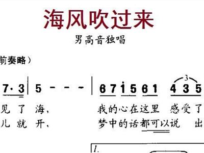海风简谱_苦涩的海风简谱(2)