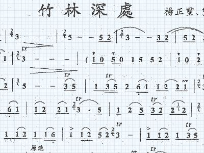 竹林深处简谱_竹林深处(2)