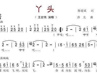 丫头简谱_丫头简谱王童语