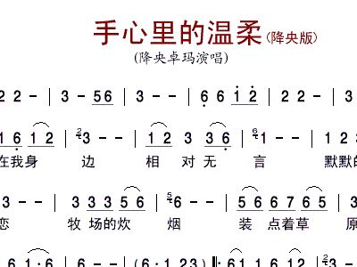 歌曲手心里的温柔简谱_手心里的温柔简谱