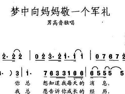 梦中的妈妈云飞简谱_梦中的婚礼简谱
