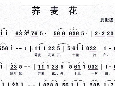 荞麦花的曲谱二妮唱_荞麦花