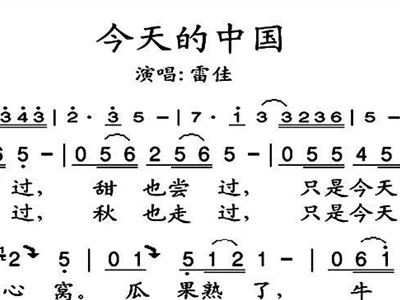我们中国雷佳歌曲谱_雷佳我们中国(4)