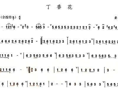 丁香花的简谱_丁香花吉他简谱