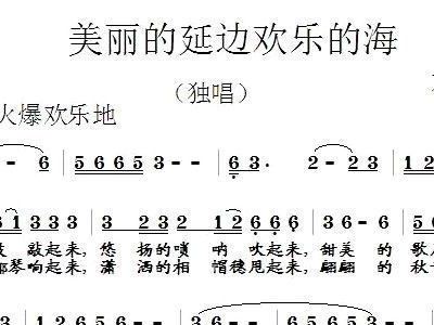 欢乐的海洋简谱_欢乐的海洋(3)