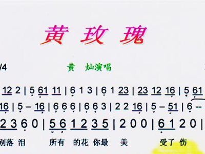 黄玫瑰 彩谱 黄灿 歌谱 简谱