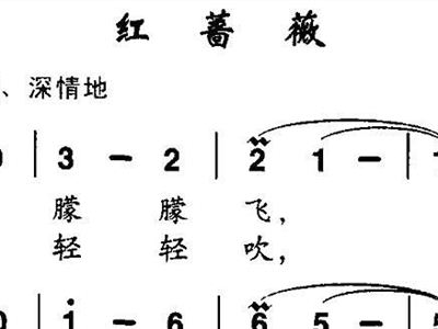 红蔷薇简谱_难忘父母情红蔷薇简谱(2)