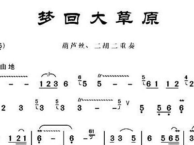 葫芦丝把你带到我的草原曲谱