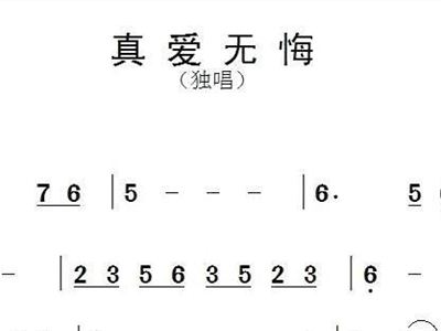 埙曲无悔简谱_凄美断肠曲(2)
