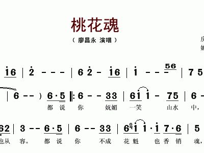 挑花曲谱_花瑶挑花图片(2)