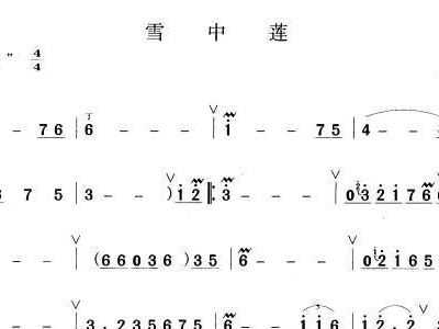 雪中莲米线版曲谱_过桥米线图片