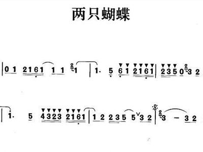 庞龙简谱_庞龙图片大全(2)