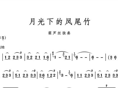 葫芦丝独奏曲凤尾竹曲谱_月光下的凤尾竹曲谱(3)