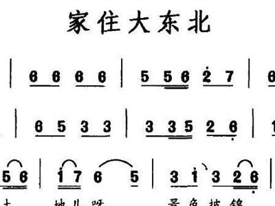 孙大剩曲谱_孙大剩图片(3)