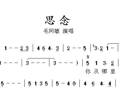 思念毛阿敏歌词歌谱