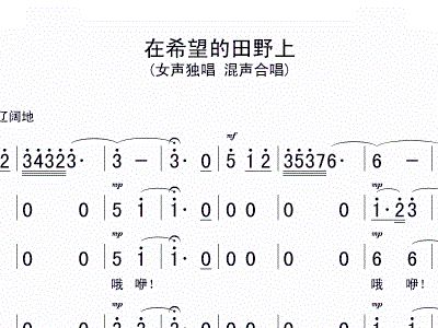 希望的田野上笛子独奏曲谱_在希望的田野上曲谱(2)