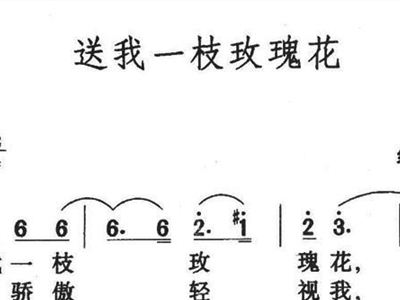 玫瑰民谣简谱_玫瑰少年数字简谱(2)