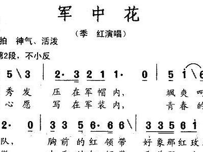 军中绿花曲谱同步伴奏_军中绿花曲谱(3)