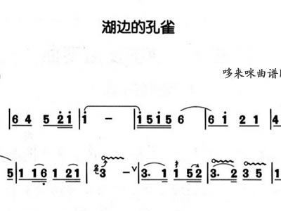 湖边孔雀简谱_金孔雀轻轻跳简谱(3)