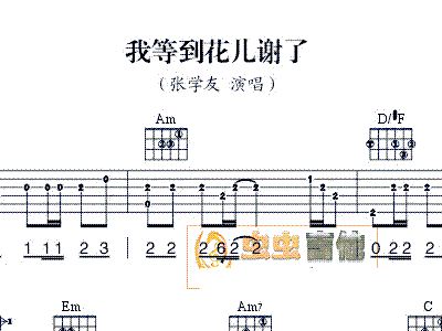 等到花儿也谢了歌词曲谱_我等到花儿也谢了歌词