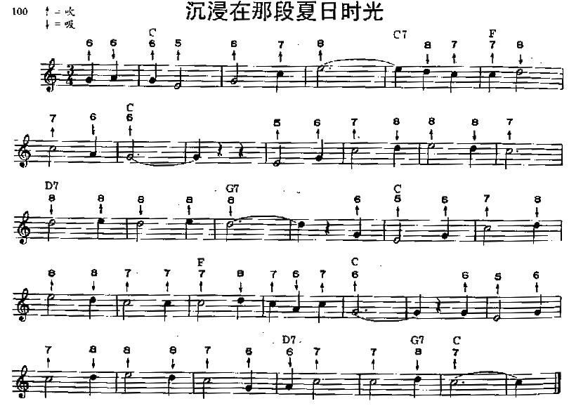 曲谱夏日时光_孙艺珍夏日香气