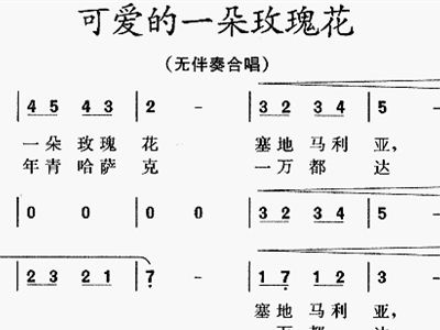 简谱可爱的一朵玫瑰花_送你一朵玫瑰花简谱(2)