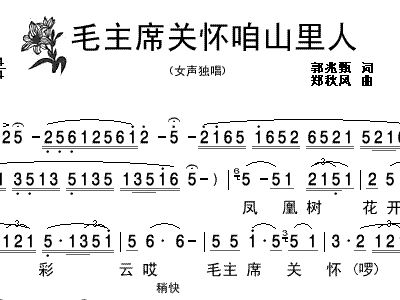 关怀简谱_情人的关怀简谱(2)